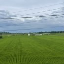 더메모리;해피