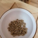 이코그루밍 이미지