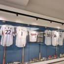 성모척관병원 이미지