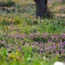 현천농장 이미지