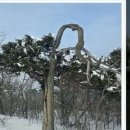 태백산오는길 이미지