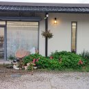 들꽃밥상 이미지