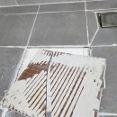 갑오마을8단지 대우푸르지오 | 김해 장유 갑오마을 푸르지오 8단지 타일 수리 후기, 누수까지 막는 바닥 타일 들뜸 전문 보수 솔루션