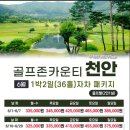 골프존카운티 천안 네이버블로그