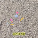북한산 3.1운동암각문 | 북한산 숨은벽 능선과 북한산정상 백운대