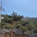 보령힐호텔 이미지