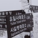 안양초교_동 이미지