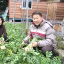 이도농장 이미지