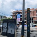 성북동-834 | 성북동 생과일 빙수 맛집 페인트커피앤바 성북점