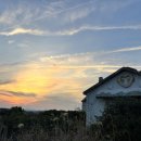 고성리-6 | 🌅🌼 제주 유채꽃 명소 2탄 | 섭지코지 후기 | 무료 노을 + 유채꽃 인생샷 스팟