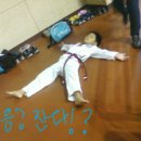 용운태권도 이미지