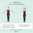 발레핏 이미지