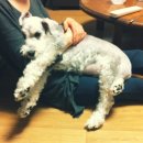 신사동-20 이미지