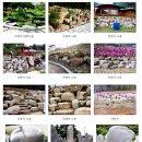 미려조경공사