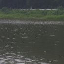 송라낚시터 이미지