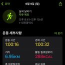 둔산중로32번길 이미지