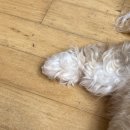 이쁘개멋있개 이미지