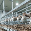 이송농장 이미지