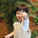 (주)영원중기 | [둘째 임신기록] 19W- 25W 임산부일상/폭풍태동/중기 임산부/20주 정밀초음파😊/아빠 없이 첫째랑 리솜...