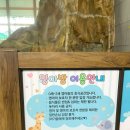 청소년수련관 관내 (2009) | 경기 남양주 아쿠와조이 가성비 실내 워터파크 수영장 준비물 예약 할인 이용후기