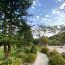 모악카써비스 이미지