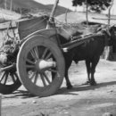 옛날 옛적에 이미지