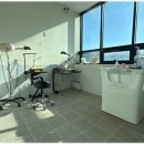 모여라 애견미용 이미지