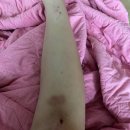 김술랭 | 엥? 벌써?? 4월??? 말이 돼????