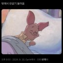 굴다리우리통닭 | 무화과 꽃도 피게 만들었던 그 때