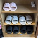 뜬금부엌 | 경주 한옥숙소 추천 황리단길 자쿠지 감성 숙소 S101 후기