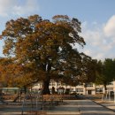 백양사농업협동조합 이미지