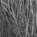 혜화목장 이미지