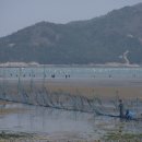 죽림어촌체험마을 이미지