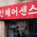 정선헤어센스