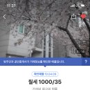 성신다방