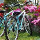 샛별펜션 이미지