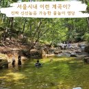 서울 한복판 지하철로 가는 벽운계곡, 주차도 걱정없어요. 숲길과 계곡이 있는 완벽한 피서 명당