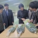 진도종합식품 아이뉴스24