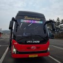 노란 오징어 | [국내여행] 구례 화엄사 홍매화 &amp; 구례 산수유 꽃 축제 여행 후기, 붉은 유혹과 노란 설렘의 만남