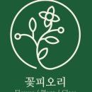 피오리스튜디오