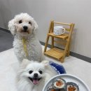 재아농장 이미지