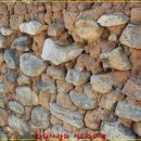 약선생약 이미지