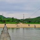회룡포마을 | 예천 회룡포 봄꽃 여행｜유채꽃·청보리 만개! 걷기 힐링코스 추천