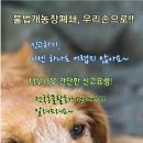 손의개농장 이미지