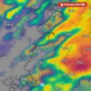 월야5일시장 이미지