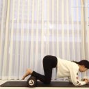 로아필라테스앤자이로토닉