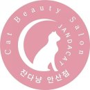 잔다냥 이미지