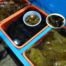 동해회식당 - 경주시 양남항구길 14-2 | 동해회식당