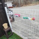 경포딩가펜션 이미지