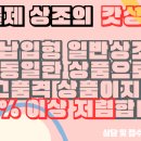 고령대가야장례식장